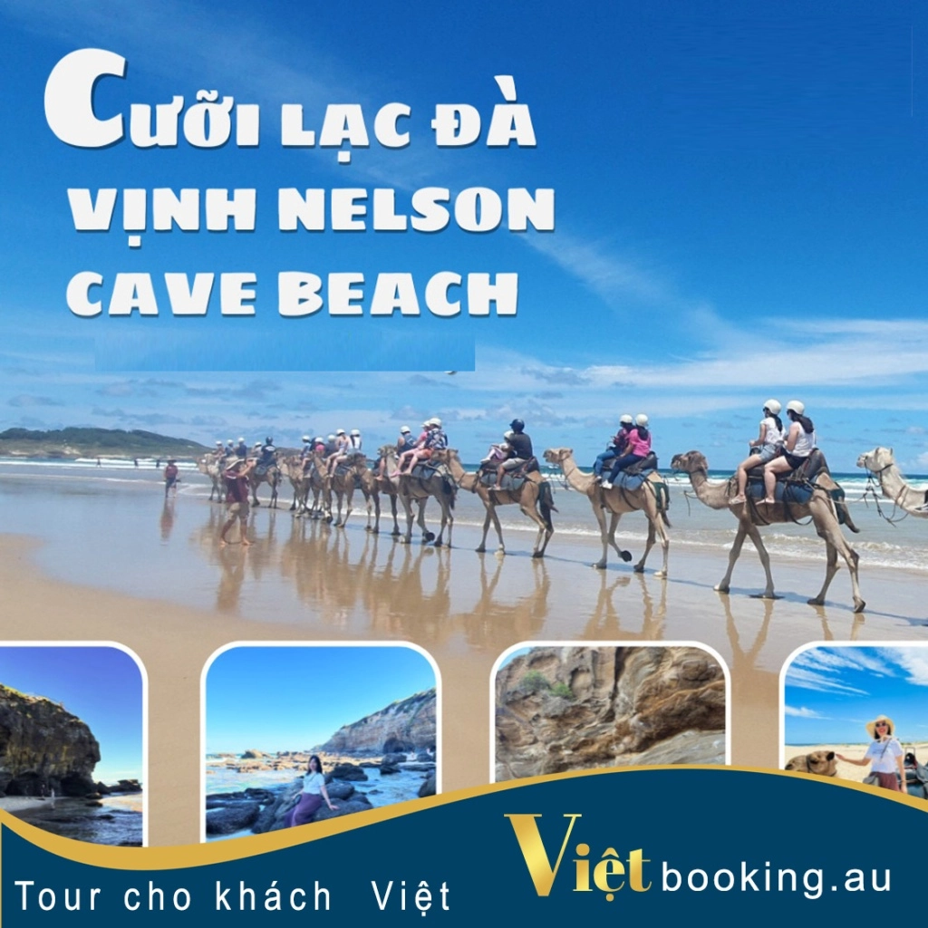 Trải nghiệm cưỡi lạc đà - Vịnh Nelson- Cave beach